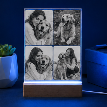 Luminária em Cristal Colagem de Memórias – Edição Múltiplos Momentos Pet