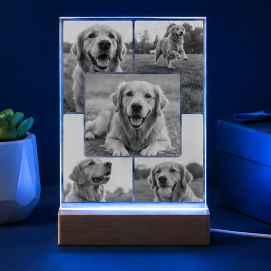 Luminária em Cristal Colagem de Memórias – Edição Múltiplos Momentos Pet