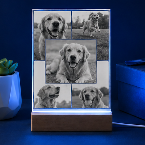 Luminária em Cristal Colagem de Memórias – Edição Múltiplos Momentos Pet