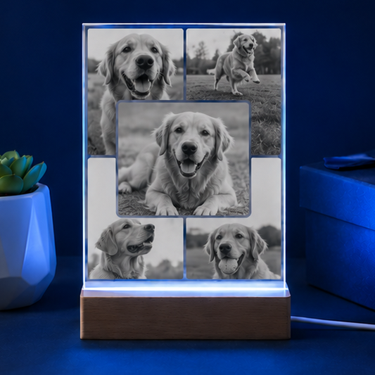 Luminária em Cristal Colagem de Memórias – Edição Múltiplos Momentos Pet