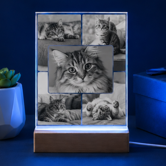 Luminária em Cristal Colagem de Memórias – Edição Múltiplos Momentos Pet