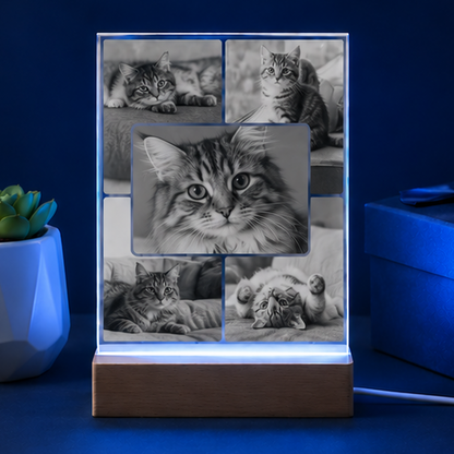 Luminária em Cristal Colagem de Memórias – Edição Múltiplos Momentos Pet