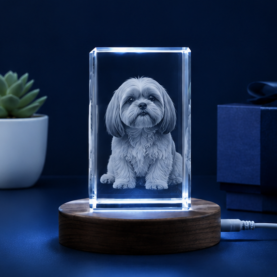 Luminária em Cristal Retrato Fiel – Edição Homenagem Pet