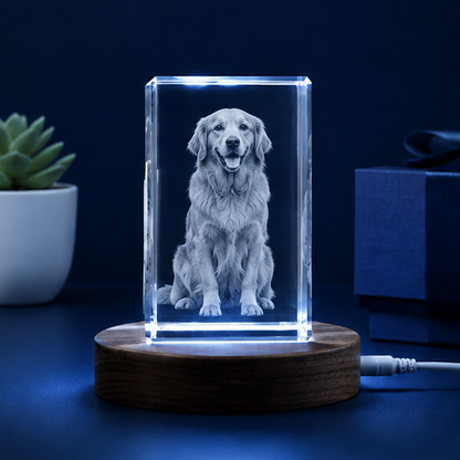 Luminária em Cristal Retrato Fiel – Edição Homenagem Pet